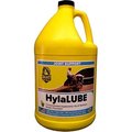 Richdel Richdel 974814 32 oz Hylalube Concentrate - Apple 974814